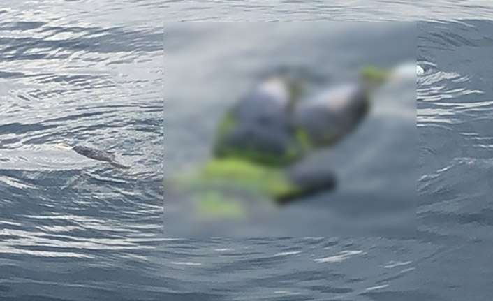 Trabzon’da balıkçılar fark etti! Cesedi görünce şok oldular