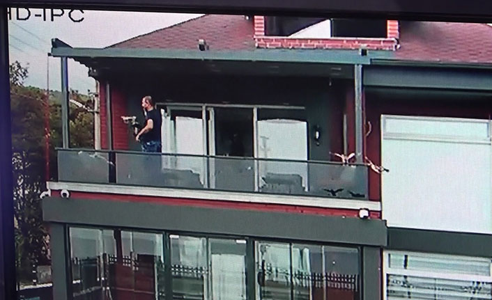 Nesli tükenme tehlikesindeki kuş sürüsü eve daldı