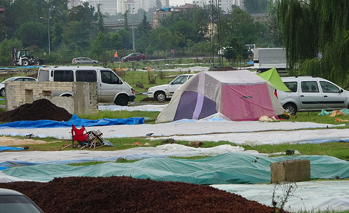 Fındık üreticisine uyarı: Fındıklar çürüyor!