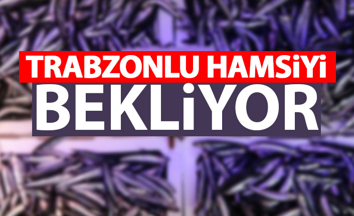 Trabzonlu hamsi ve palamutu bekliyor