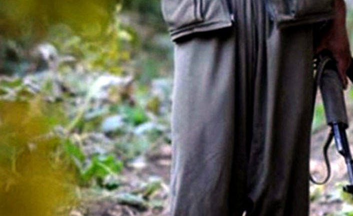 PKK'dan kaçan 5 örgüt mensubu güvenlik güçlerine teslim oldu