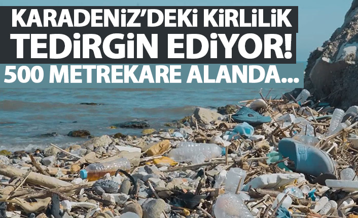 Karadeniz'de kirlilik endişelendiriyor! 500 metrekarede 2 bin 500 atık!