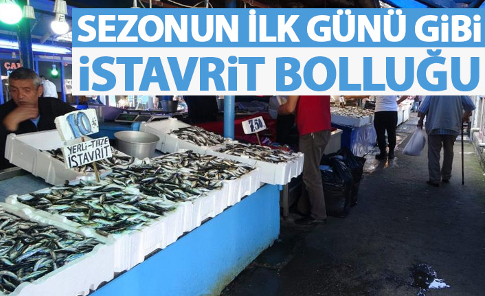 Sezonun ilk günü gibi tezgahlarda istavrit bolluğu sürüyor