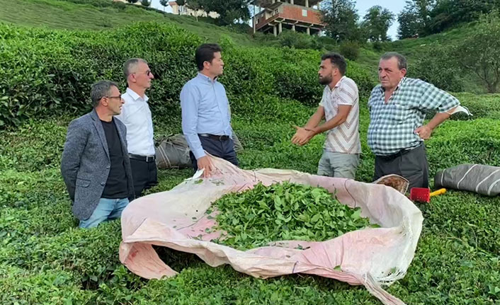 "Karadeniz'in çayını ottan beter hale getirdiniz!"