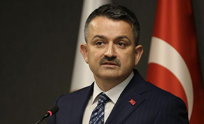 Bakan Pakdemirli Gökpınar Barajı'nı inceledi