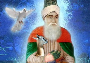 Trabzon da 21 il arasında