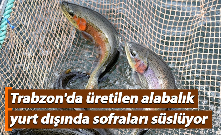 Trabzon'da üretilen alabalık yurt dışında sofraları süslüyor