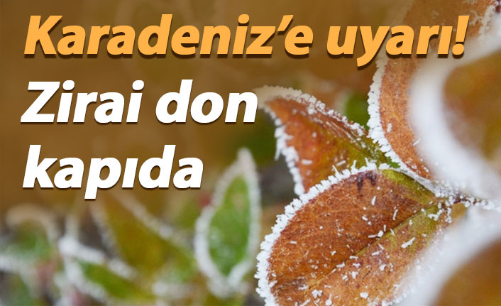 Karadeniz için uyarı! Zirai don kapıda