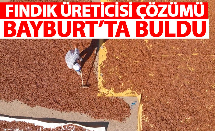 Fındığı kurutmak için güneş göçü