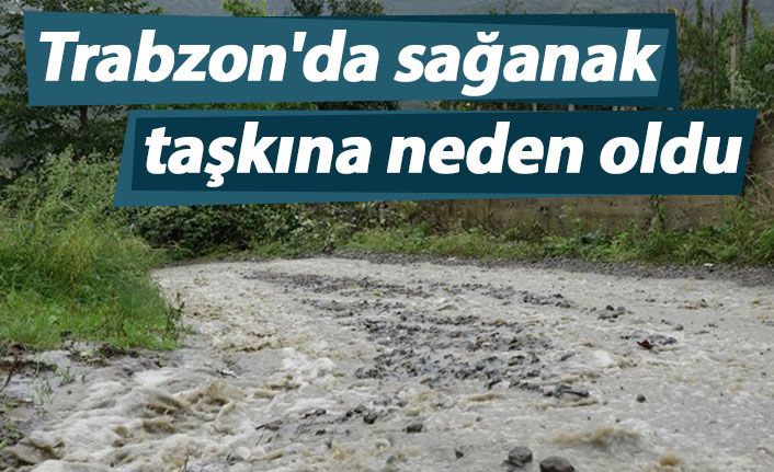 Trabzon'da sağanak taşkına neden oldu