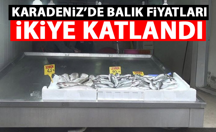 Karadeniz'de balık fiyatları ikiye katlandı