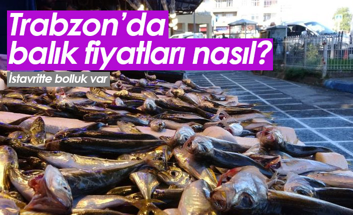 Trabzon'da balık fiyatları nasıl? İstavrit bolluğu var