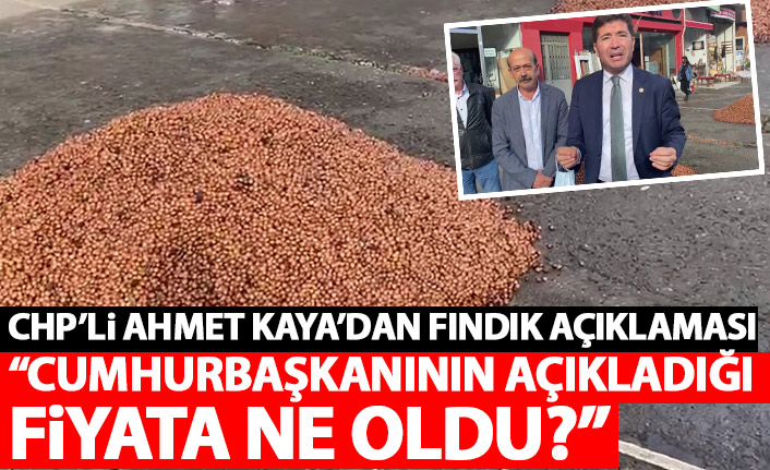 Ahmet Kaya'dan fındık açıklaması: Cumhurbaşkanı'nın açıkladığı fiyata ne oldu?