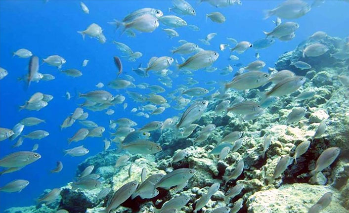 Karadeniz alarm veriyor