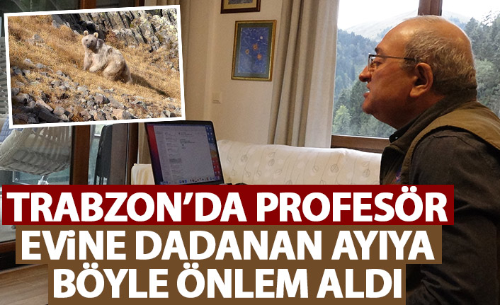 Profesörden evine dadanan ayıya ‘kovucu çit’ önlemi