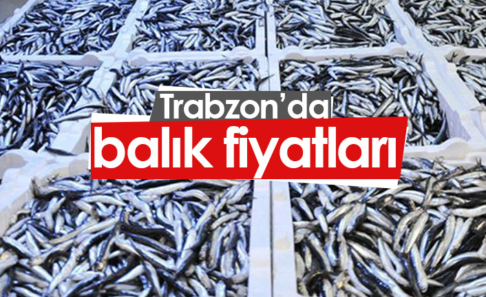 Trabzon balık halinde hamsinin kilogramı 25-30 liradan satılıyor.30 Eylül 2021