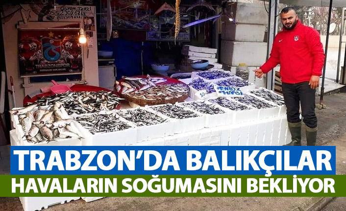 Trabzon'da balıkçılar deniz suyunun soğumasını bekliyor