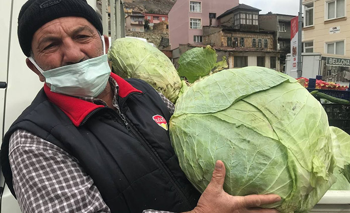 Bayburt lahanası tezgahlarda