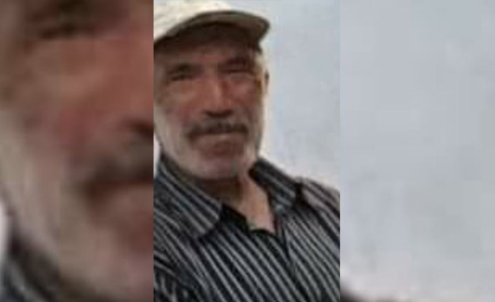 Dananın saldırısına uğrayan çiftçi hayatını kaybetti