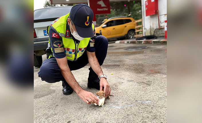Trabzon’da jandarma ekibinden anlamlı hareket