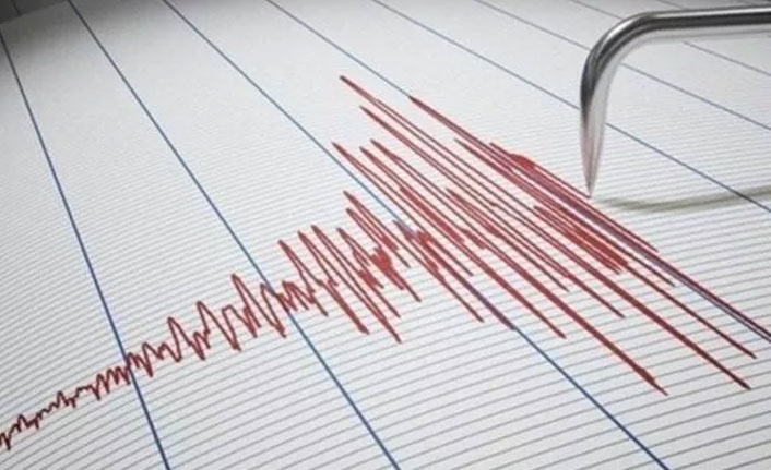 Japonya'da 6 şiddetinde depremle sallandı