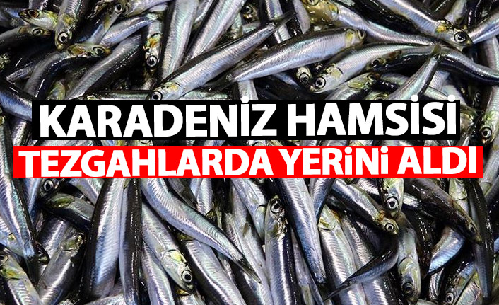 Taze hamsi yüzleri güldürdü