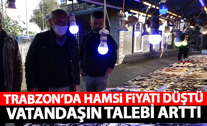 Hamsi fiyatı düştü talep arttı