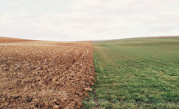 Türkiye için iklim politikasında yeni dönem