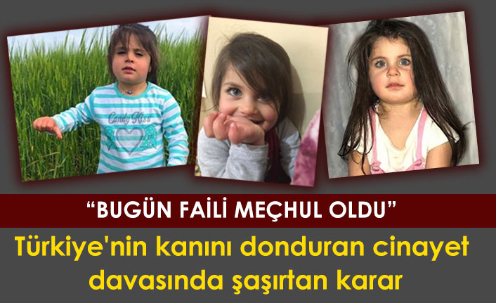 Türkiye'nin kanını donduran cinayet davasında şaşırtan karar!