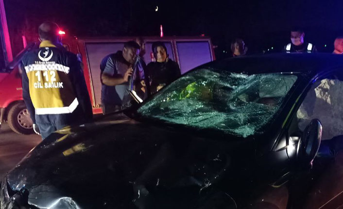 Kaya parçası otomobile saplandı, ölümden döndüler