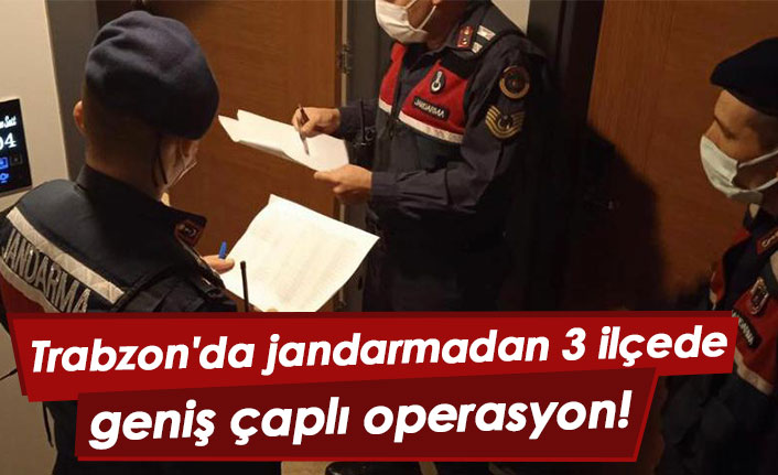 Trabzon'da jandarmadan 3 ilçede geniş çaplı operasyon!
