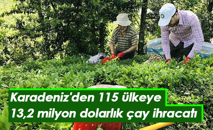 Karadeniz'den 115 ülkeye 13,2 milyon dolarlık çay ihracatı