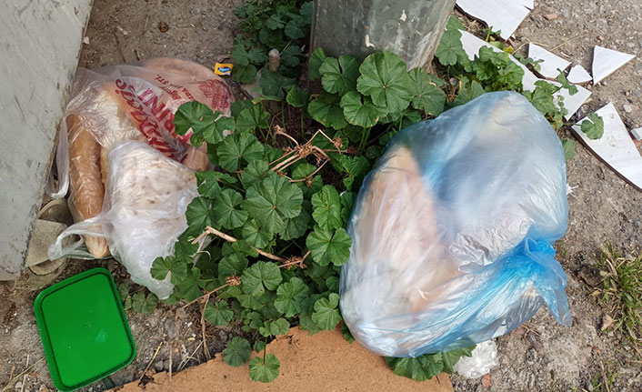 Dünyada 1,3 milyar ton gıda çöp oluyor