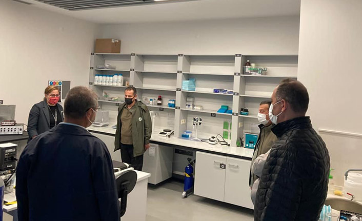 KTÜ'de araştırılıyor! Endemik iki bitki ilaç olma yolunda