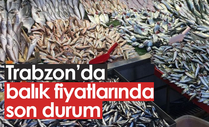 Trabzon'da balık fiyatları nasıl? 13.10.2021