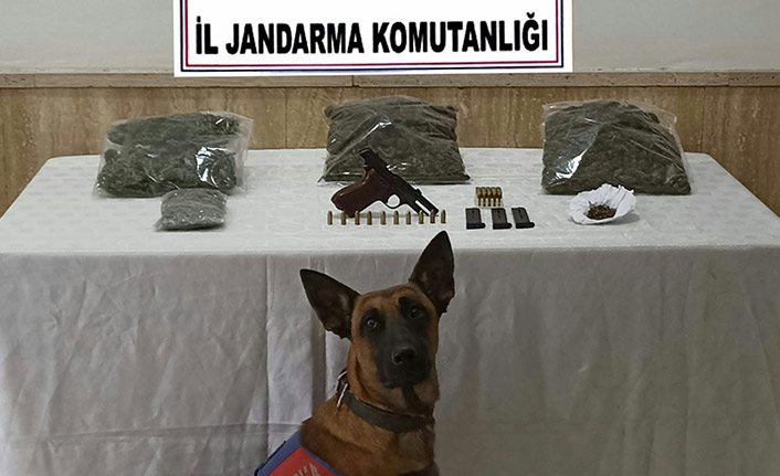 Trabzon'da Jandarmadan uyuşturucu operasyonu! 1 kilogramın üzerinde esrar ele geçirildi