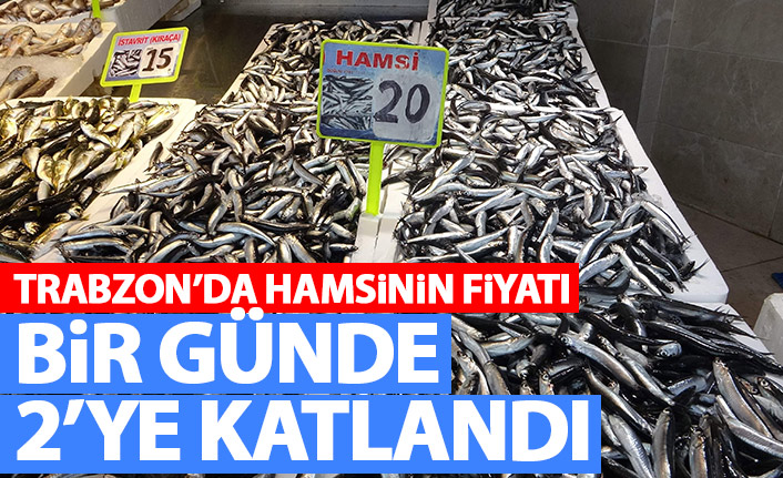 Trabzon'da hamsi fiyatı bir günde 2'ye katlandı