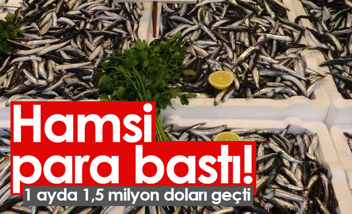Hamsi para bastı