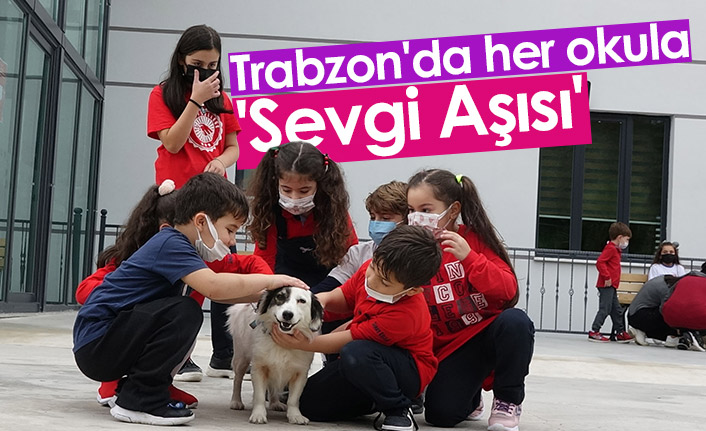 Trabzon'da çocuklara hayvan sevgisi aşılanıyor