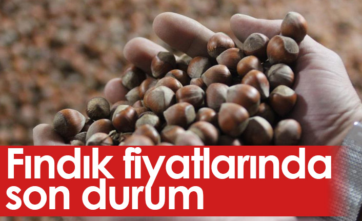 Fındık Fiyatları bugün ne kadar? Fındık fiyatında son durum