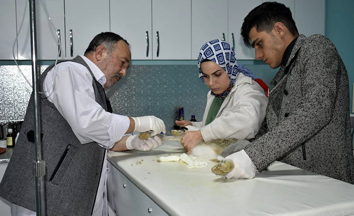 Yaralı tavşanını tedavi ettirdi