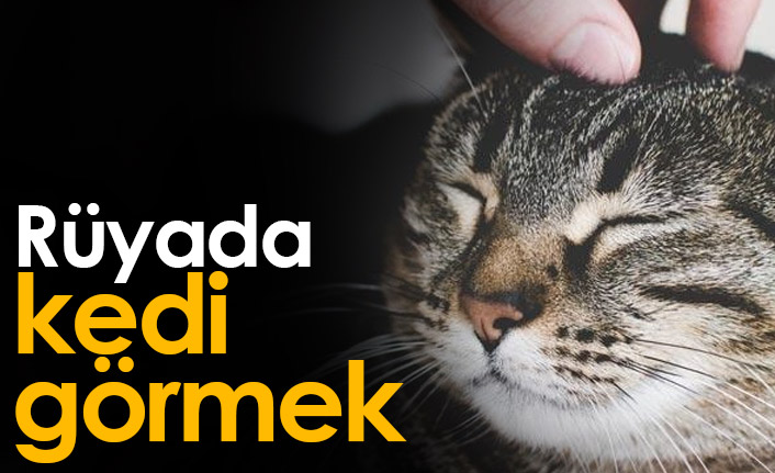 Rüyada kedi görmek ne anlama gelir? Rüyada kediyi kucağına almak