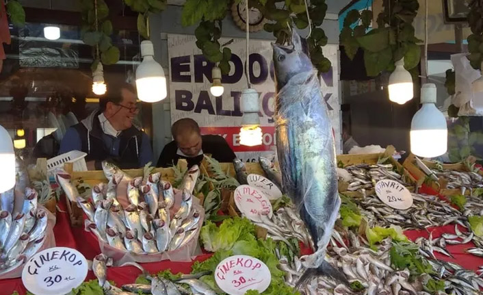 Karadeniz'de torik bereketi