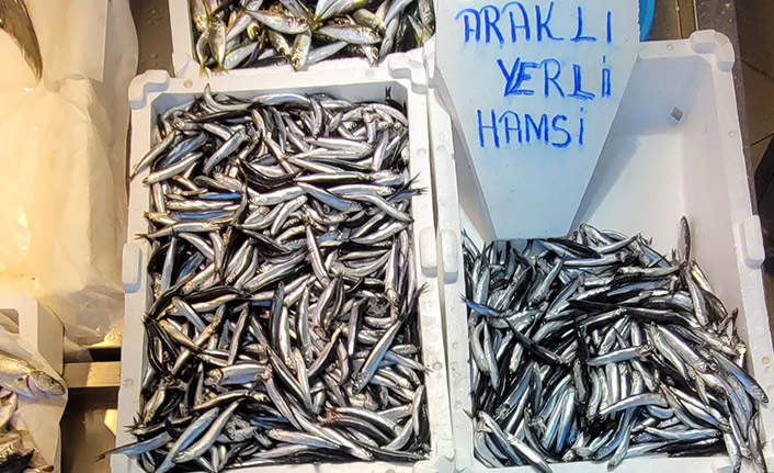 Trabzon'da hamsi avı azaldı, fiyatı arttı