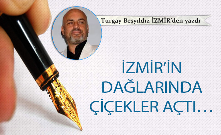 İzmir’in dağlarında çiçekler açtı…