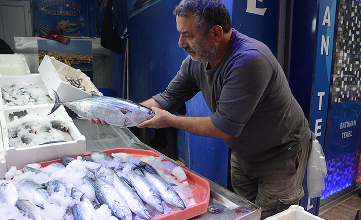 Boy sınırı altında avlanan palamut bu yıl az