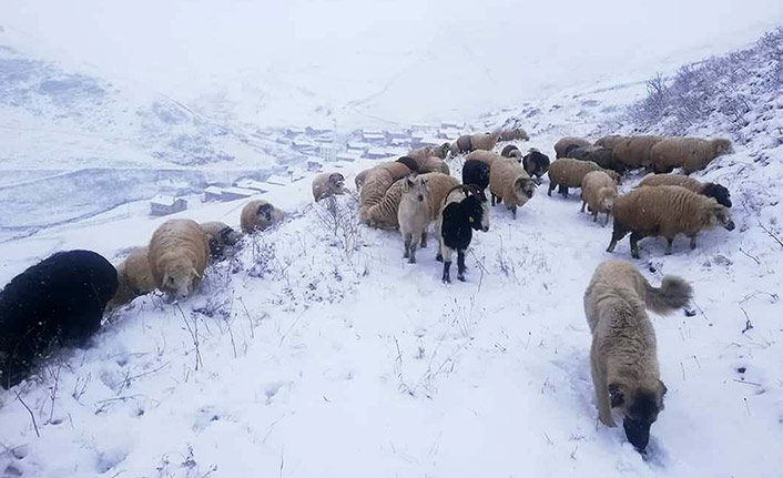 Bayburt'ta kar yüzünü gösterdi