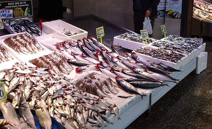 Palamut fiyatını ikiye katladı