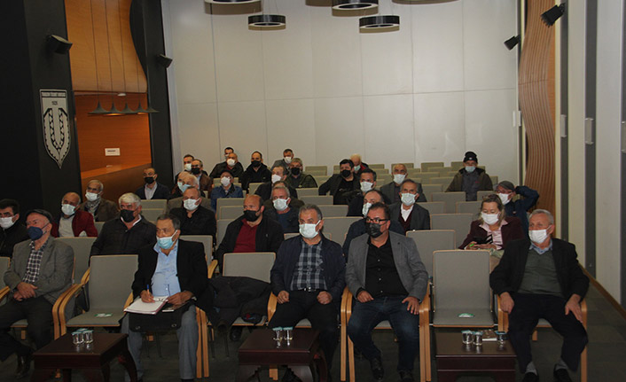 Trabzon'da üreticilere 40 bin fındık fidanı