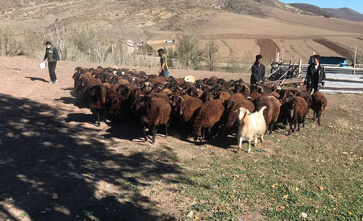 Bayburt'ta çiftçinin 50 yıllık hayali gerçek oldu